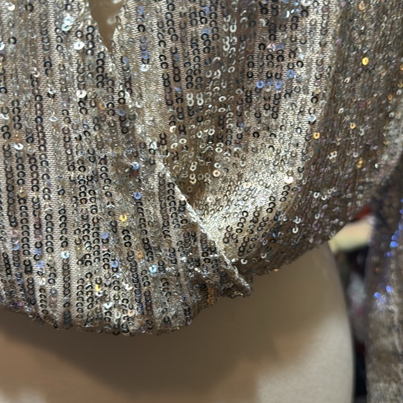 Beautiful H & M Sequined/Sparkly Gold & Silver Top XS Extra Small - Picture 5 of 11